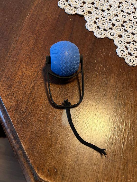 Cat roller toy tail 4